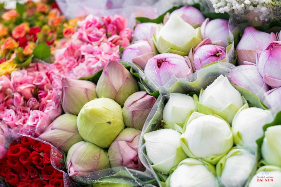 Nên tặng những loại hoa 20/11 có màu sắc truyền thống và nhẹ nhàng đến những thầy cô lớn tuổi.
